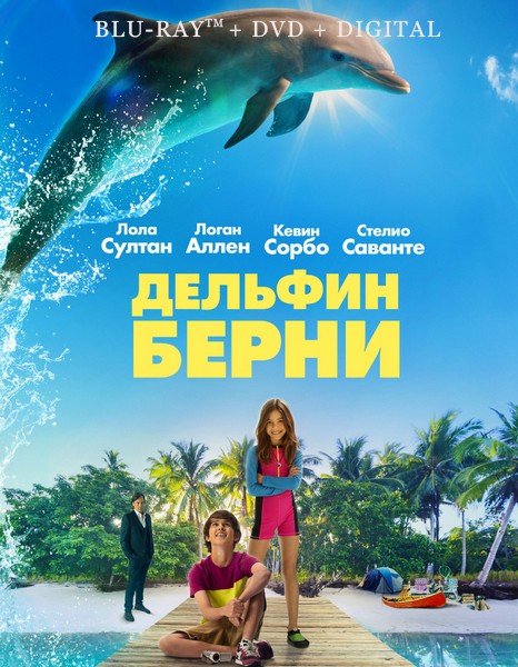 Bernie the Dolphin