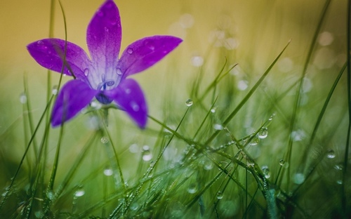 Computer Desktop Wallpapers Collection. www.cwer.ru