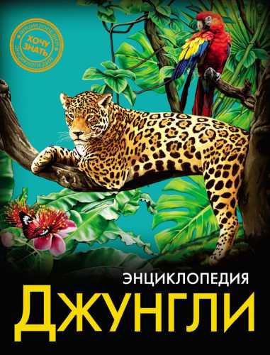 Джунгли