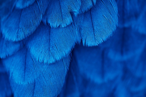 New Mixed HD Wallpapers Pack 344