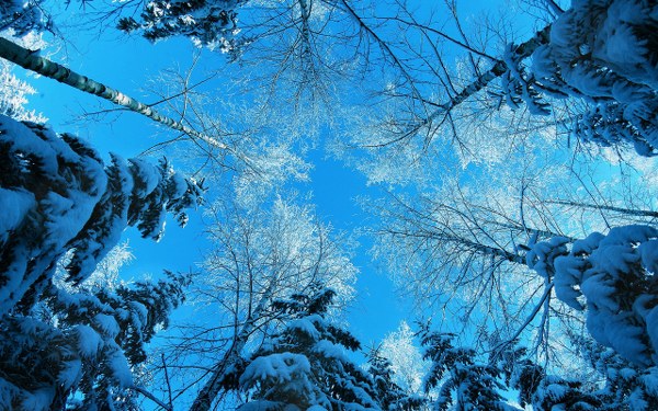 New Mixed HD Wallpapers Pack 352