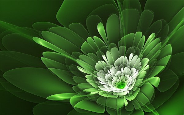 New Mixed HD Wallpapers Pack 355