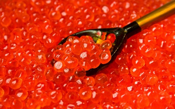 Best Mixed Wallpapers Pack #447-448