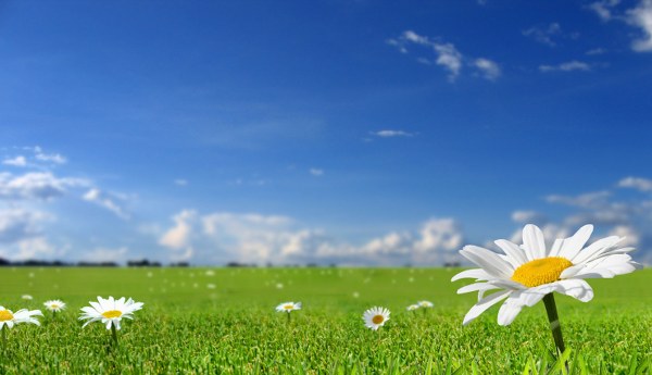 New Mixed HD Wallpapers Pack 310