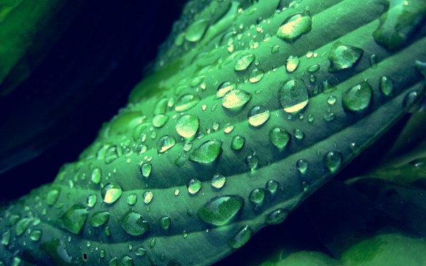 Best Mixed Wallpapers Pack #459-460