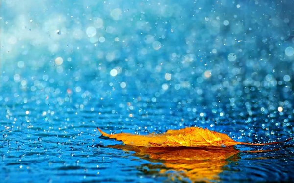 New Mixed HD Wallpapers Pack 324
