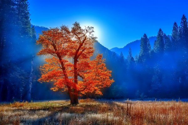 New Mixed HD Wallpapers Pack 228