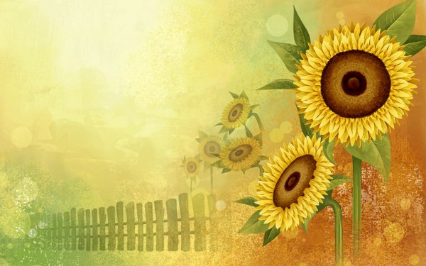 Best Mixed Wallpapers Pack #425-426