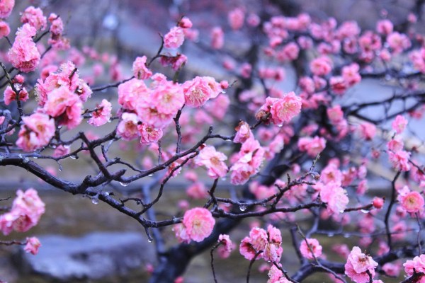 New Mixed HD Wallpapers Pack 272