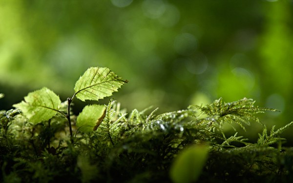 New Mixed HD Wallpapers Pack 204