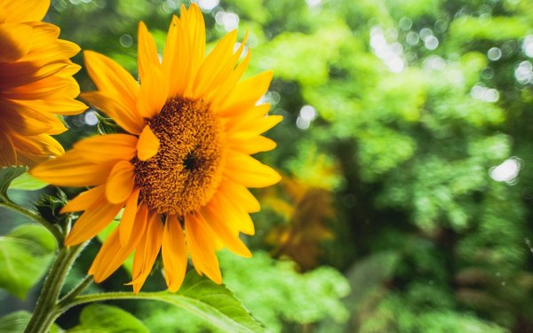 New Mixed HD Wallpapers Pack 204